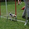 agility 2011-07-24